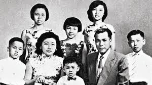 林梧桐