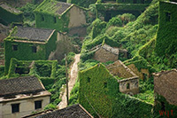 渔村印象(9)