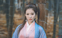 古风美女唯美写真(8)