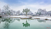 西湖的雪景很美(11)