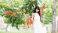 回首时光(8)