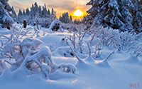 如童话般的雪景(10)