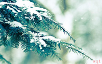 唯美精致雪景(11)
