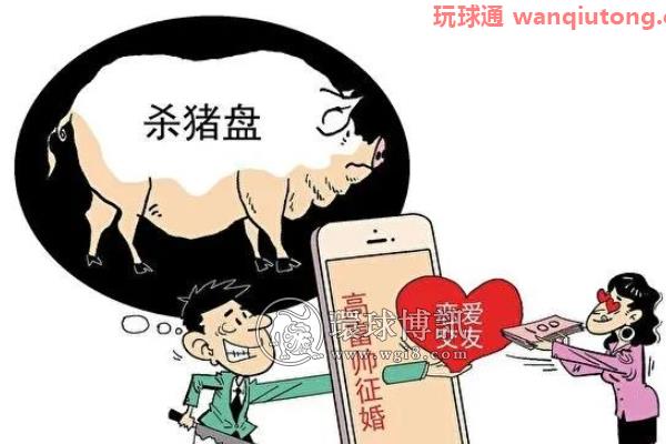 重庆警方破获特大"杀猪盘"诈骗团伙 涉案500余万 重庆警方破获特大"杀猪盘"诈骗团伙 涉案500余万