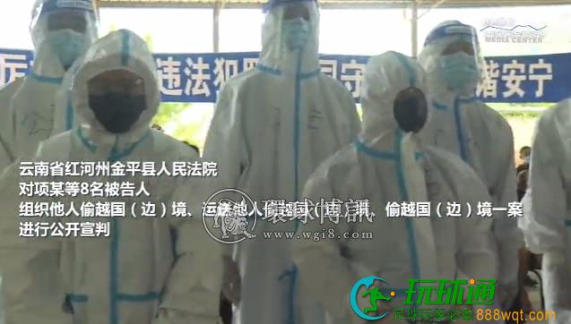 云南金平法院对项某等8名被告人组织他人偷越国(边)境罪一案进行公开宣判 云南金平法院对项某等8名被告人组织他人偷越国(边)境罪一案进行公开宣判