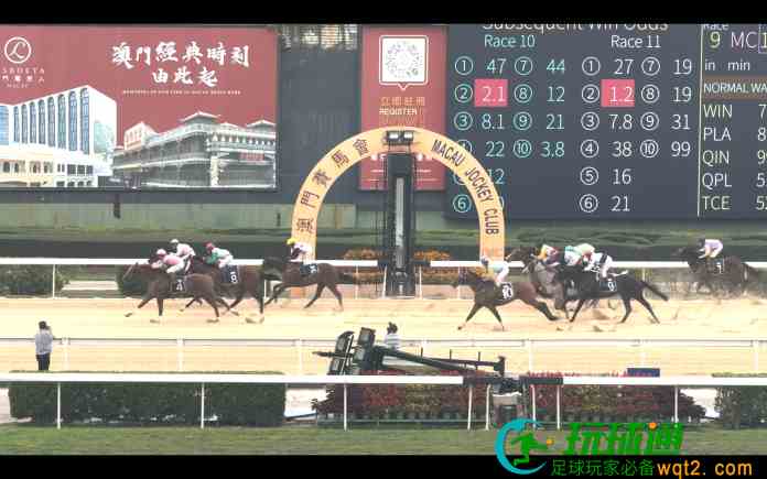 澳門賽馬會逾180匹馬分批運珠海檢疫隔離 擬作表演觀賞用途